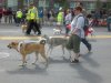 Canada Day Parade 2008