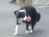 Canada Day Parade 2008